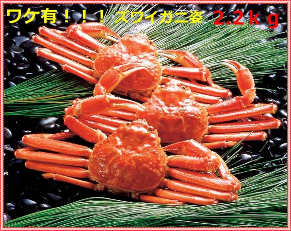【北の海から】ボイルズワイ蟹2-5尾2.2kg★業務用訳あり_2