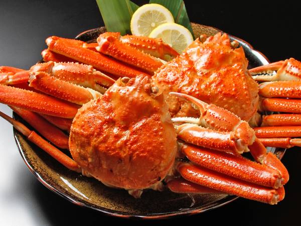 【北の海から】ボイルズワイ蟹2-5尾2.2kg★業務用訳あり_3