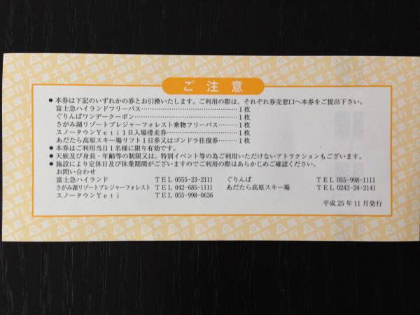 富士急ハイランド　遊園地フリーパス 1枚【送料無料】_2