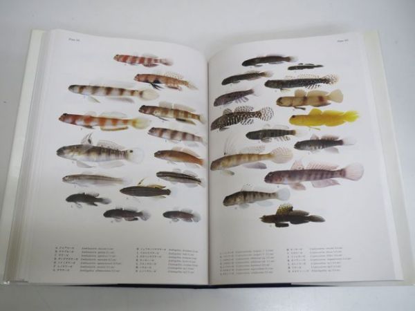 31｜日本産魚類大図鑑 カラー図版+解説2巻揃 定価42,000円(生物学