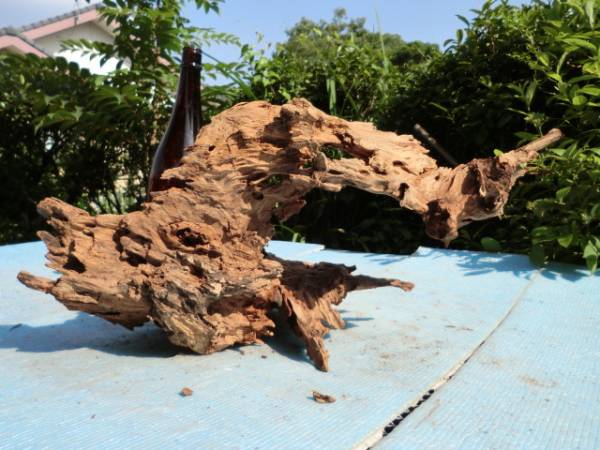 古木 自然木 紅タブ木 T ラン 売買されたオークション情報 Yahooの商品情報をアーカイブ公開 オークファン Aucfan Com