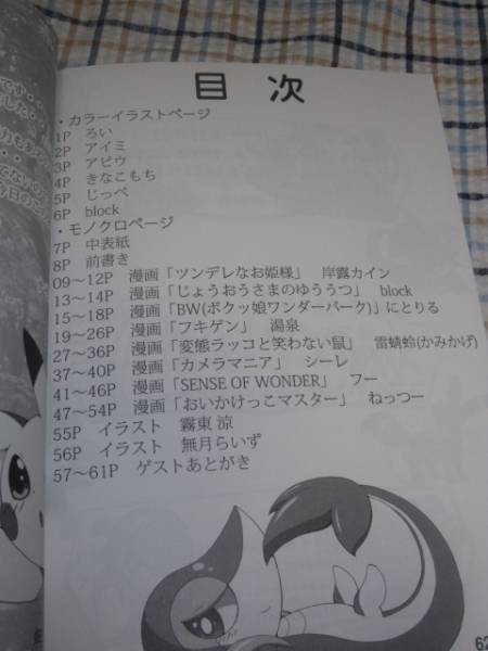 C86 ケモノ獣人ポケモン同人誌 ボクはお姫さま ツタージャ 少年 売買されたオークション情報 Yahooの商品情報をアーカイブ公開 オークファン Aucfan Com