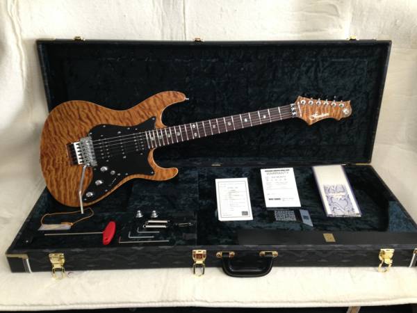 美品 Freedom Custom Guitar Research HYDRA FRT 晩秋(本体)｜売買され 