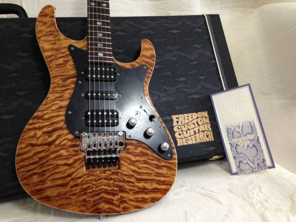 美品 Freedom Custom Guitar Research HYDRA FRT 晩秋(本体)｜売買され 