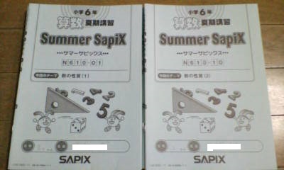サマー サピックス＊６年＊算数・応用発展／開成 桜蔭＊2013年