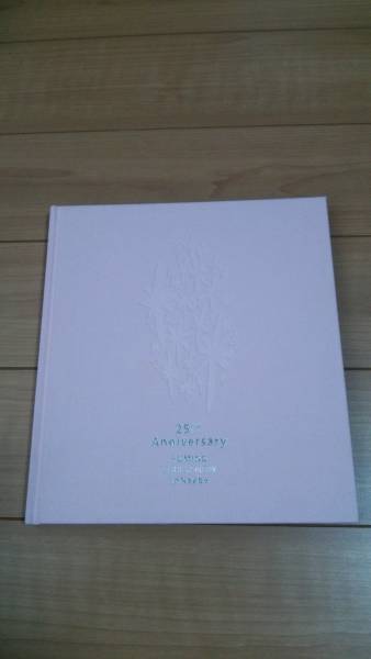 松任谷由実 25周年記念 SURF&SNOW in 苗場 パンフレット (タレント 