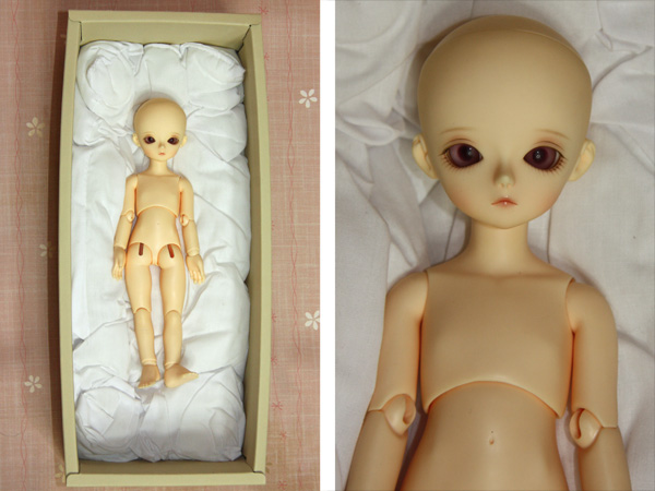 Blue Fairy　Shiny fairy　Paul 女の子 中古