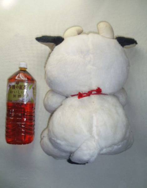 昭和レトロ オオイケ牛 うし も と鳴くぬいぐるみ日本製 ウシ 売買されたオークション情報 Yahooの商品情報をアーカイブ公開 オークファン Aucfan Com