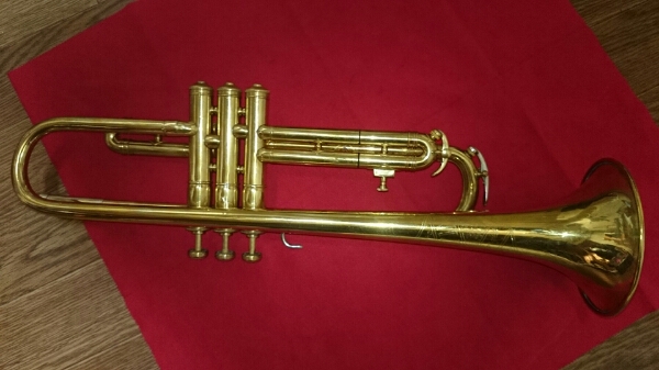 妄想の作品　マーチン・ハンドクラフト・ハイブリッド　