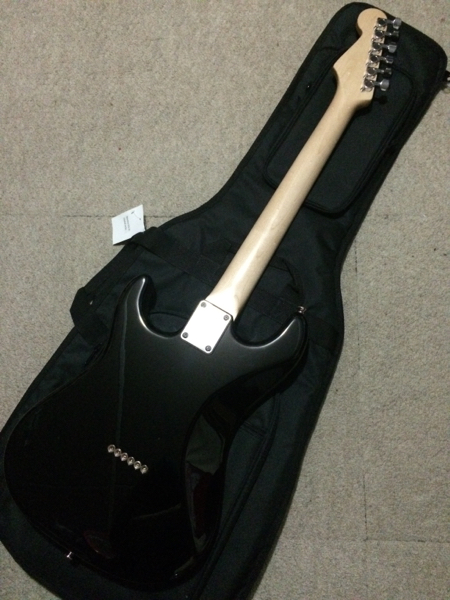 Bacchus GLAY HISASHI バッカス バッカス Bacchus Limited BST-24HH Journeyman GLAY HISASHI(バッカス