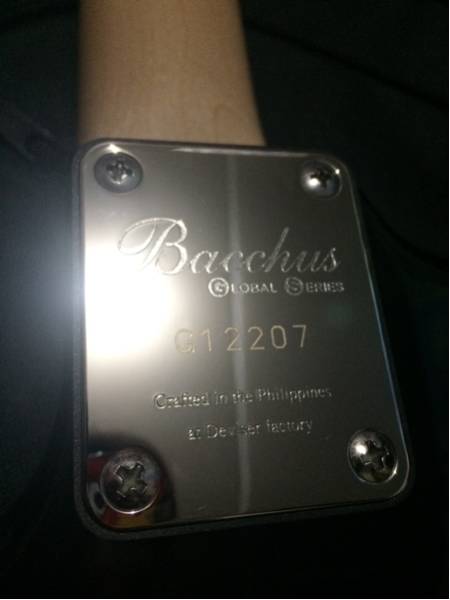 バッカス Bacchus Limited BST-24HH Journeyman GLAY HISASHI(バッカス