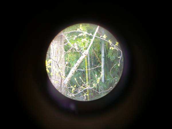 大日本帝国陸軍九九式狙撃銃照準眼鏡/スコープ/榎本光学精機製!!(個人