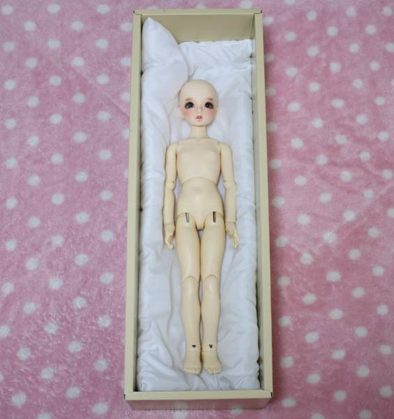 スタンダード SDM まこ 【 ヘッド + MSD 少女 ボディ 】(本体)｜売買 