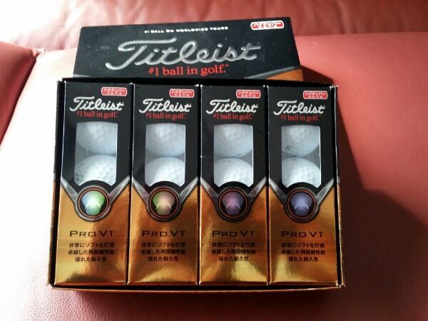 新品TITLEISTタイトリストPRO PROVI