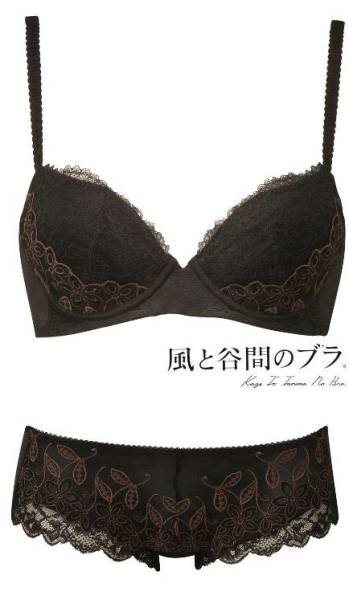 新品 ワコール 風と谷間のブラ ブラジャーＦ７０＋ショーツL/BL