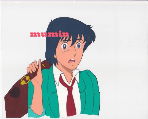 セル画 ときめきトゥナイト 真壁俊 制服 池野恋 りぼん た行 売買されたオークション情報 Yahooの商品情報をアーカイブ公開 オークファン Aucfan Com