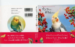 オウム インコのYahoo!オークション(旧ヤフオク!)の相場・価格を見る