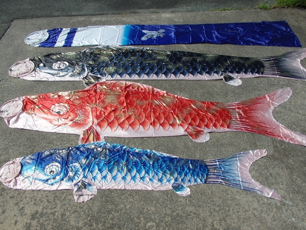◇鯉のぼりセット ◇5m 吹流し 黒 赤 青 三匹 染吉 鯉光(こいのぼり