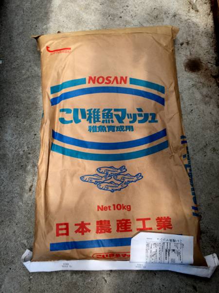 こい稚魚マッシュ10キロ　毛子　高カロリー飼料◆東北元気錦鯉