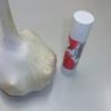 有機栽培・無農薬　徳島産にんにく１ｋｇ_1