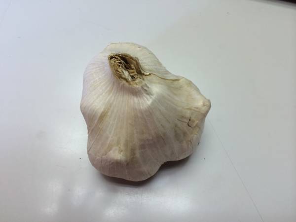 有機栽培・無農薬　徳島産にんにく１ｋｇ_2