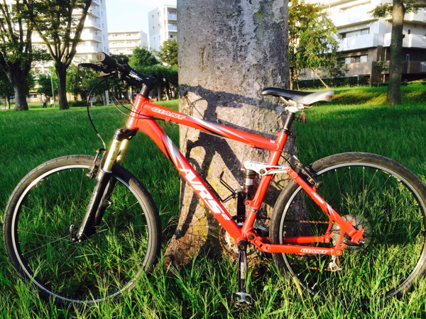 ジャンク TREK 「トレック」 MT60 2008年モデル マウンテンバイク MTB