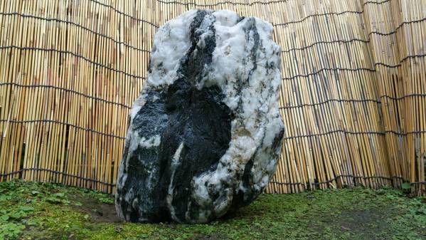 黒石　庭石　花壇　庭園　植木　庭木　鉢植　ガーデニング