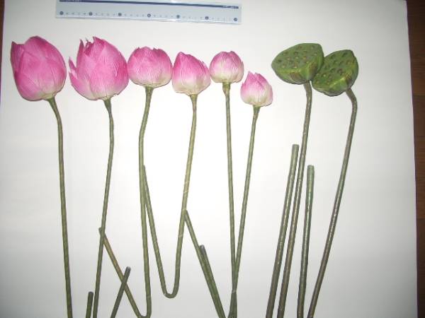 蓮☆ハス☆睡蓮☆スイレン☆仏花☆特大サイズ ８本☆造花 ④