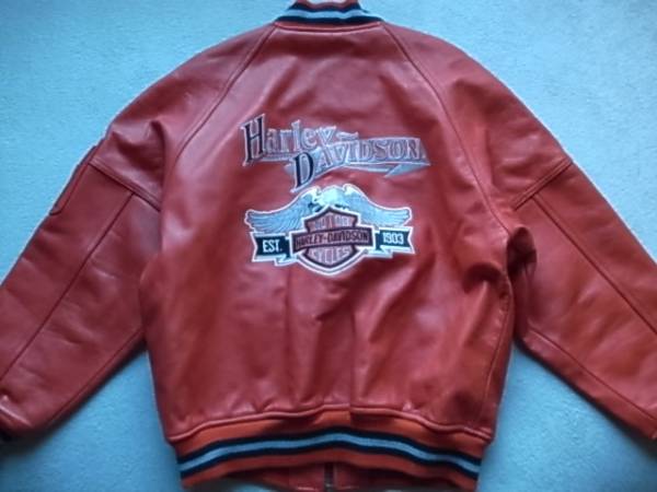 ハーレーダビットソン　オールレザー　スタジャン　革　刺繍Ｌ