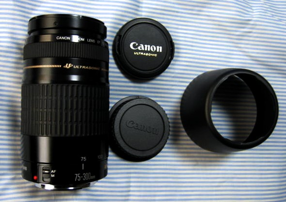 75-300mm 望遠レンズ⁄キャノン⁄イベント⁄スポーツ⁄Canon 公式 | EF75-300