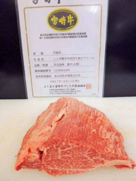 ◆◇宮崎牛A５　特選ヒレ（先部位）　４８０ｇ　◇◆