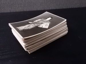 ブロマイド 戦前のYahoo!オークション(旧ヤフオク!)の相場・価格を見る
