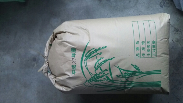 玄米 30kg 米 | 令和7年産 コシヒカリ 岩船産コシヒカリ 秋田米 玄米 新潟県岩船産コシヒカリ(玄米) 30kg 令和7年産