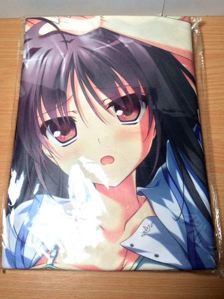 新品 夏空のペルセウス 遠野恋 描き下ろし抱き枕カバー