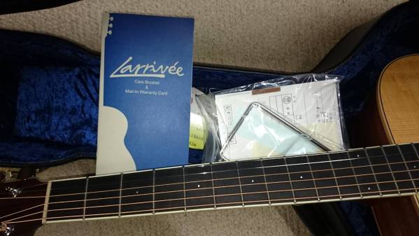 憧れのLarrivee スタンダードモデルD-02 美品　鳴ります！