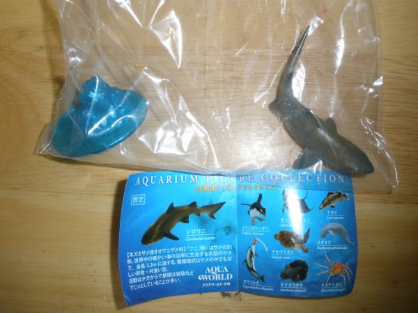 にほんの水族館フィギュア全９種　シロワニ