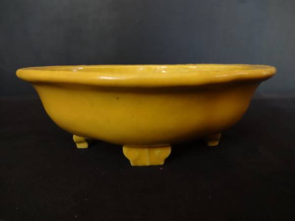 《富士山》【鴻陽】　黄釉外縁木瓜　16.9cm