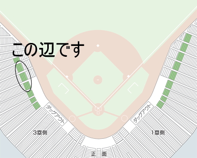 9/6(火) 広島カープ 対 中日 フィールドボックス3塁側ペア 阪神VS広島