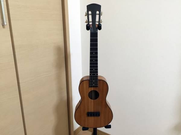 快音!! テナーウクレレ LG2 ハンドメイド 美品
