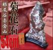 自然観賞石■岐阜根尾谷赤倉山産 菊花石■54cm/31kg◆銘 恵比寿