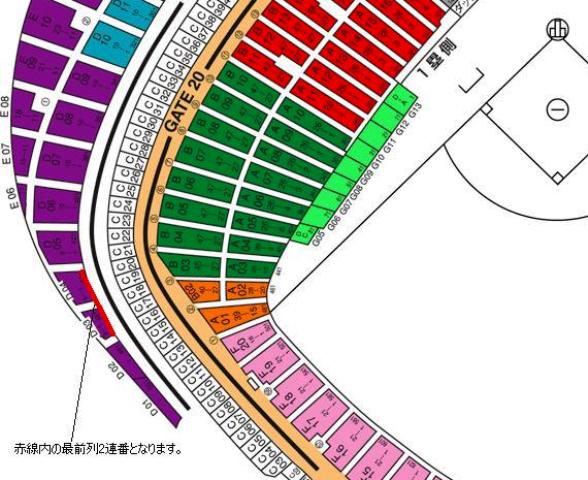 スポーツ 8月29日横浜ベイスターズ対ヤクルト一塁側三塁側ベンチ上最
