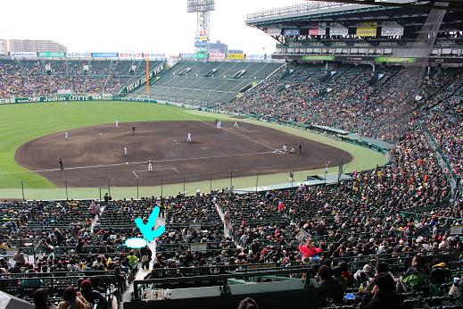 阪神甲子園球場　6/25(金) 18:00阪神vsDeNA  ブリーズシート2枚 阪神甲子園球場 6/25(金) 18:00阪神vsDeNA ブリーズシート2枚 6月