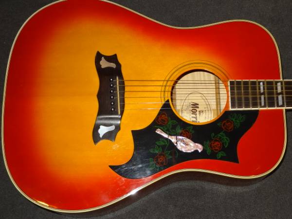 送込み!メイプルボディ上位DOVE！Morris、WD-35！太鳴り 公式