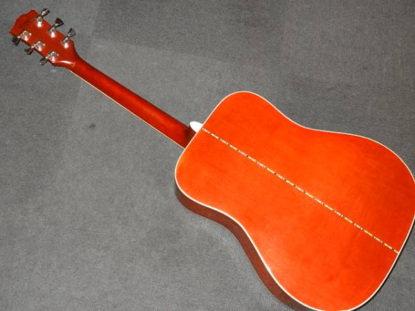 送込み!メイプルボディ上位DOVE！Morris、WD-35！太鳴り 公式