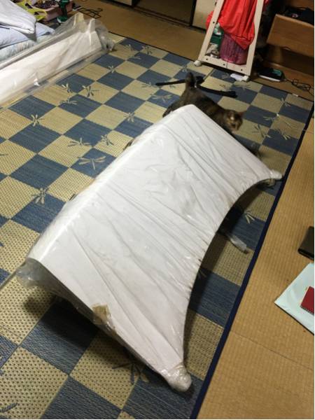 C35 ローレル FRP トランク パーツ (S) 【公式通販】