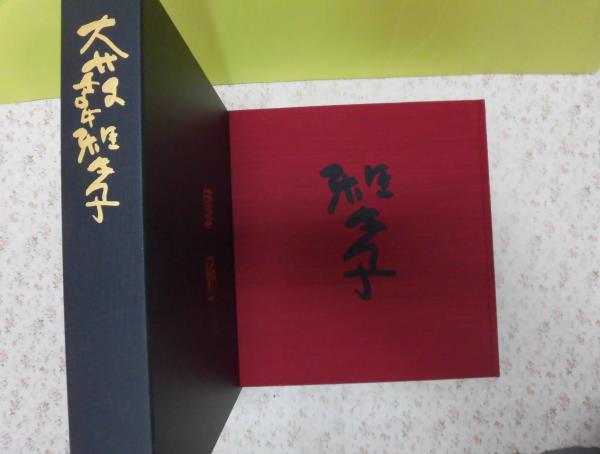 大薮雅孝 N☆大藪雅孝作品集 定価5万円 平成16年 | 大薮雅孝 N☆大藪雅孝作品集 定価5万円 平成16年 |