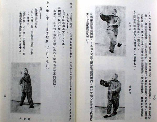 八卦遊身掌 王樹金 八卦連環掌 entityさん専用 王樹金老師直系 王樹金