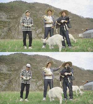 三食ごはん 2 全18話 イ ソジン テギョン キム グァンギュ お笑い バラエティ 売買されたオークション情報 Yahooの商品情報をアーカイブ公開 オークファン Aucfan Com