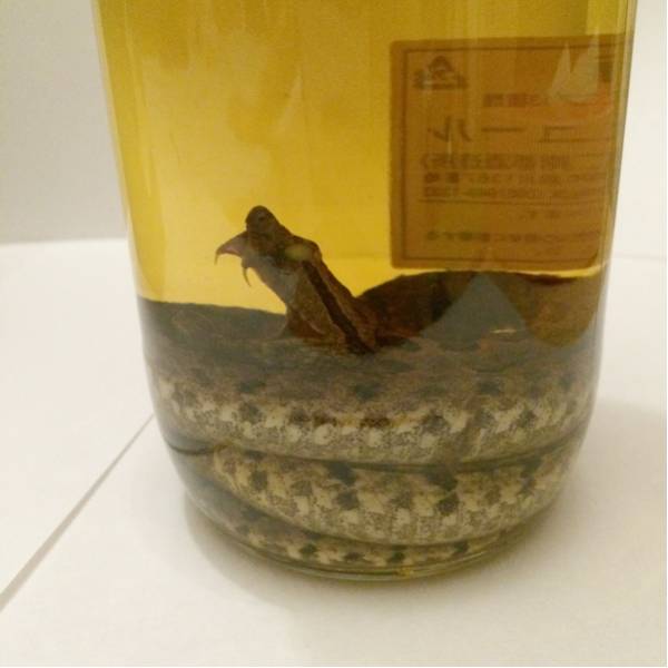 35度 ハブ酒 800ml 南都酒造所 ハブ入り ⁄ 限定品 ハブ入りハブ