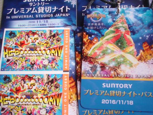 ユニバーサルスタジオジャパン 貸切ナイトパスペア 送料込